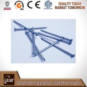 Iron Nails Factory in China