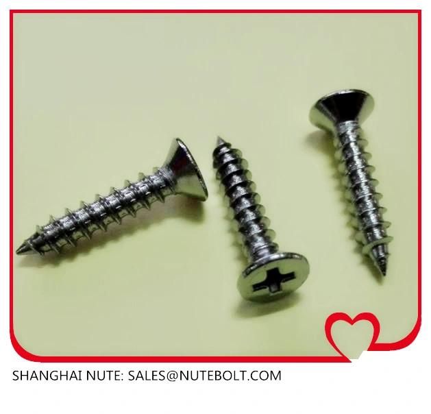 Self Tapping Screw Stainless Steel 304 316 DIN7981 DIN7982, Machine Screws, Self Drilling Screws