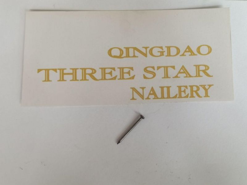 Cheap Price Panel Pins/Small Size Common Nails/Low Price Power Brand Common Nails