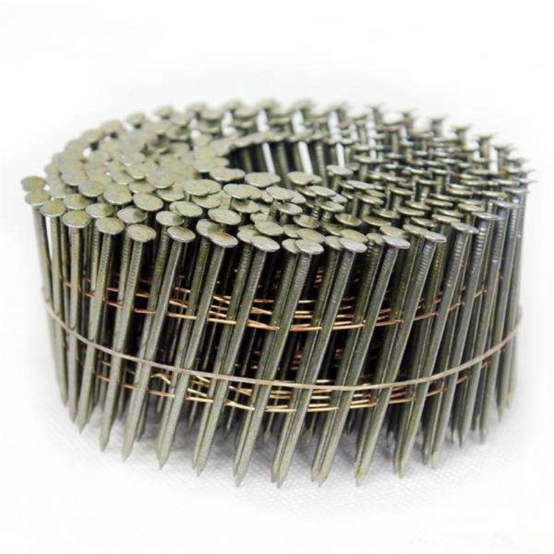 Threaded Nail Smooth Rod Smooth Nail Ring Spiral Tray Nail