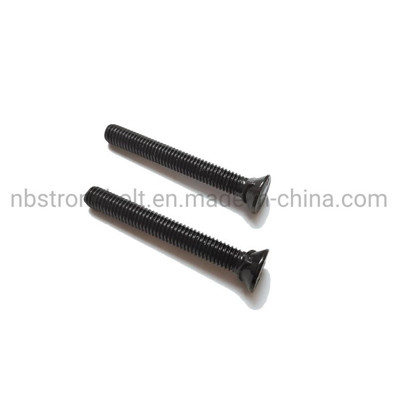 Flat Countersunk Square Neck Bolt with Black