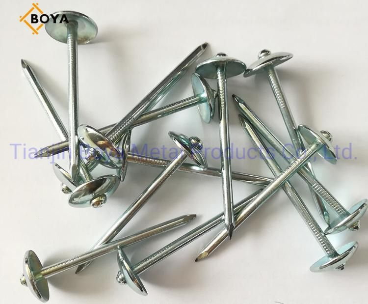 Chinese Factory Supply 2.5 Inch Wire Nails Umbrella Roofing Nail