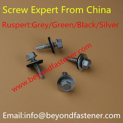 Screw Fastener Pan Head Self Drilling Screw Self Tapping Screw DIN7504 SUS Screw Taiwan Screw