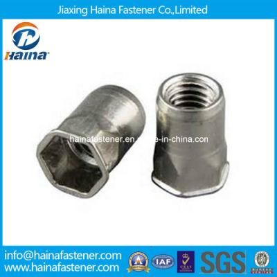 Stainless Steel Flat Head Hex Body Blind Rivet Nut M10