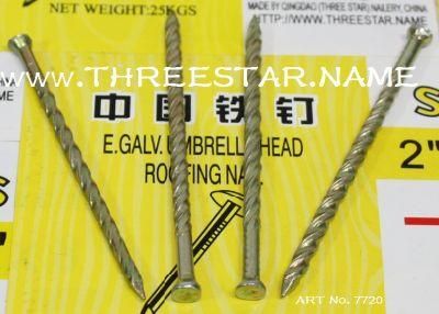 Angola Ethiopia Market/Floor Nails/Twisted Floor Nails /Small Head Twisted Nails