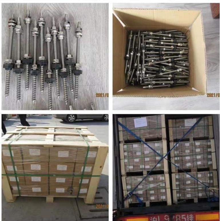 Solar Hanger Bolt with Washer Nut EPDM Sealing Washer