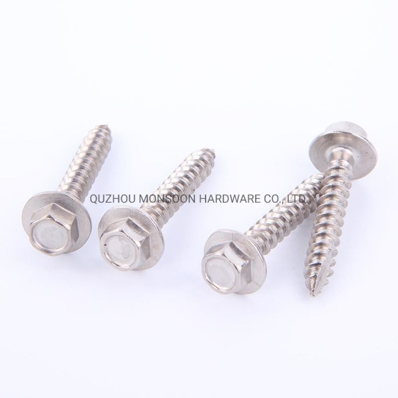 Stainless Steel Hexagonal Head Self Tapping Screws