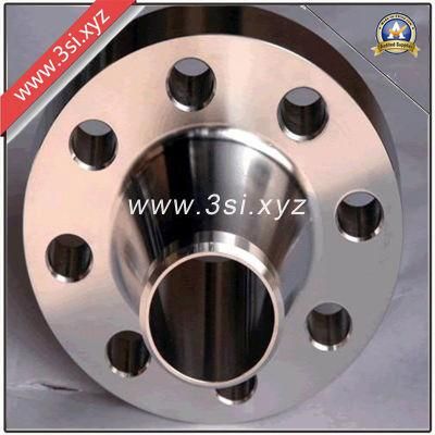 Hot Sale Quality Forged Stainless Steel Welding Neck Flange (YZF-E359)
