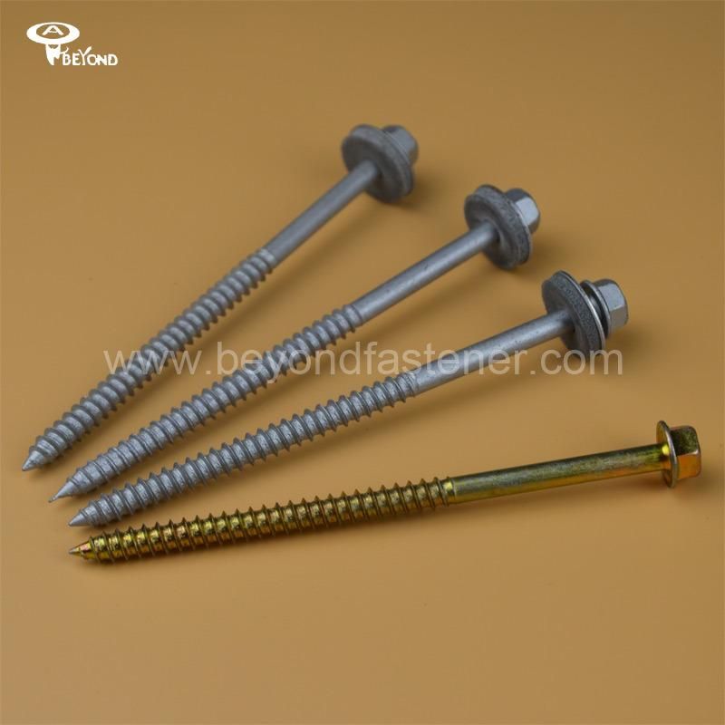 Screw/Self Tapping Screw/Fasteners/Bolts