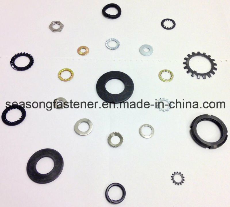 Stainless Steel Spring Washer (DIN127B)