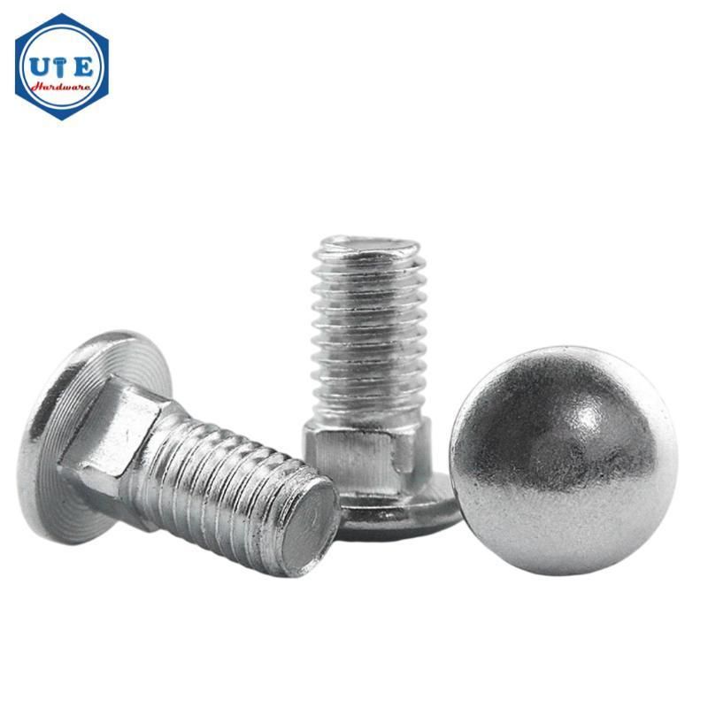 Round Head Square Neck Carriage Bolt DIN603 Stainless Steel Carriage Bolts of 304 316