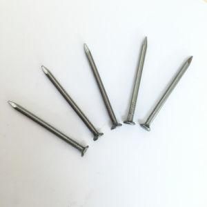 Common Iron Nails (1&quot;-6&quot;)