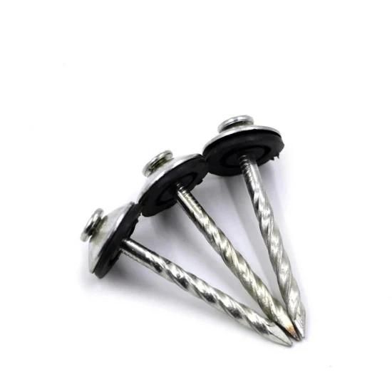 Umbrella Head Roofing Nail/Galvanized Roofing Nails with Washer