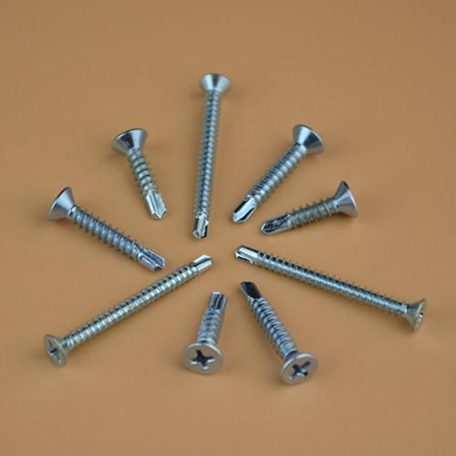 Screw/Bi-Metal Screw/Self Drilling Screw/Fastener