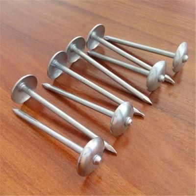 Umbrella Head Roofing Nail/Blue and White Zinc Plated/Color Zinc Corrugated Nails