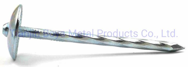 Screw Shank Roofing Nail with Umbrella Head in Material Q195