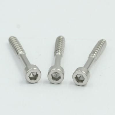Stainless Steel Long Screw Fixing Screws Capping Head Screw