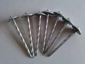 Bright Polished Common Umbrella Head Nails Galvanized Nails