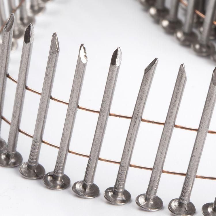 Professional Manufacturer Smooth Red Coated Coil Nail for Pallet