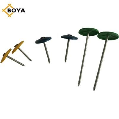 25kg/Carton Electro Galvanized Roofing Nail