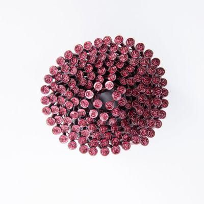 Professional Manufacturer Smooth Red Coated Coil Nail for Pallet