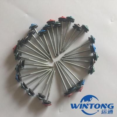 Galvanized/ Umbrella Twist Smooth Shank Roofing/Lron/Finish /Tapping Screw /Wire/Boat /Nails