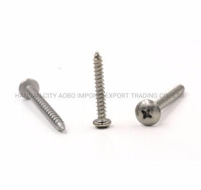 Stainless Steel Philip Pan Head Self Tapping Screw (SS304 SS316)
