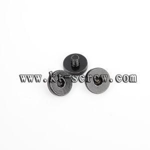 Special Custom Screw of Black Big Head Screw, Guide Rail Screw