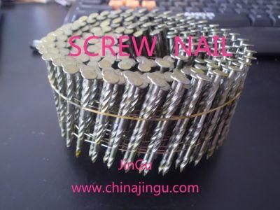 Best Quality Special Stainless Nail Coil Nail with Cheap Price