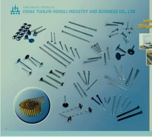 Hot DIP Galvanized Clout Nails /Hight Quality for Us Market