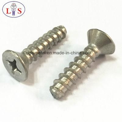 Ss304 Screw/Stainless Steel Countersunk Head B Thread Screw