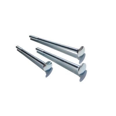 Round Head Square Neck Bolt, DIN603 Gr. 4.8 with White Zinc Plated Cr3+