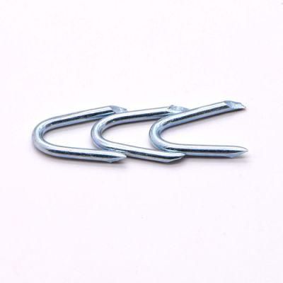 Laos Vietnam Philippines Singapore Market/U Stype Nails Galvanized with Long and Short Common Nail