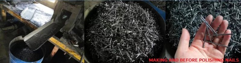 Harden Good Quanlity Polished Nail/ Wire Nail/Wooden Nail/Roofing Nail/ for Construction
