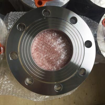 AISI316L Sanitary Stinless Steel Pipe Fitting Blind Flange RF Flange