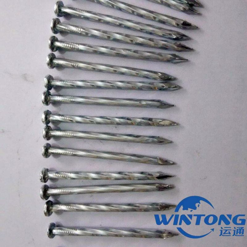 Hard Cement Nail Production, Carbon Steel Cement Nail