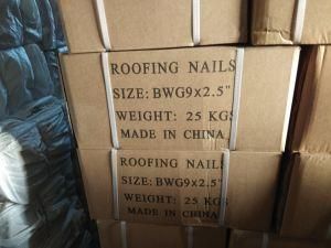 Roofing Nail Professional Manufacturer with Competitive Price