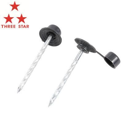 Chinese Factory Supply Umbrella Head Roofing Nails Construction Low Price Galvanized Roofing Nails
