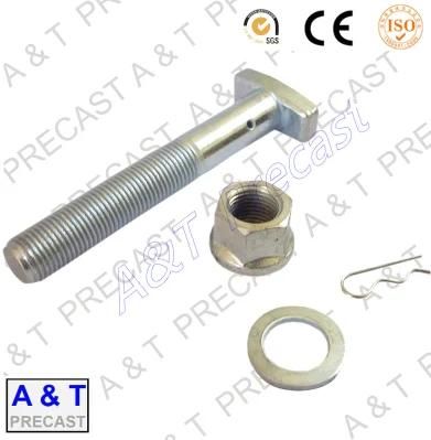 Customized Stainless Steel T Bolt, T Shaped Bolts