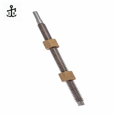 Ss Trapezoidal Lead Ball Screw Set for CNC Machine Made in China