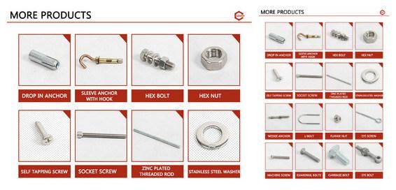 High Quality Square Head Bolt/ T Head Screw with Zinc-Plated Class 8.8