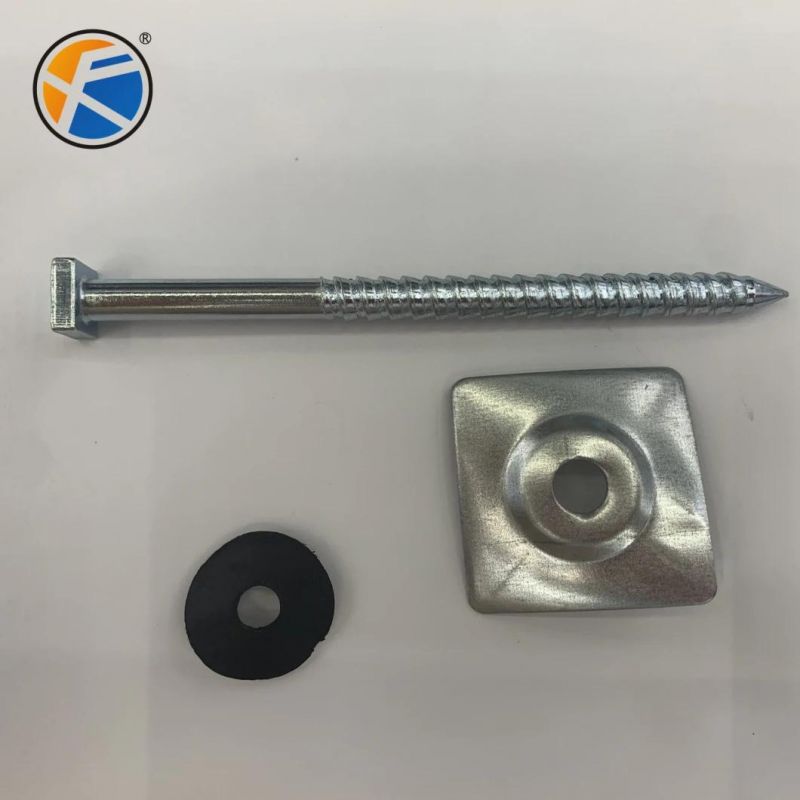 China Factory Carbon Steel Zinc Plated Square Head Umbrella Wood Screw