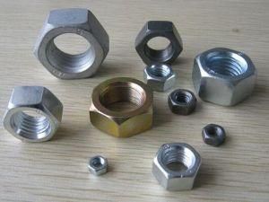 Stainless Steel Hex Nut, Hex Coupling Nut, Hex Connect Nut, Spring Nut,