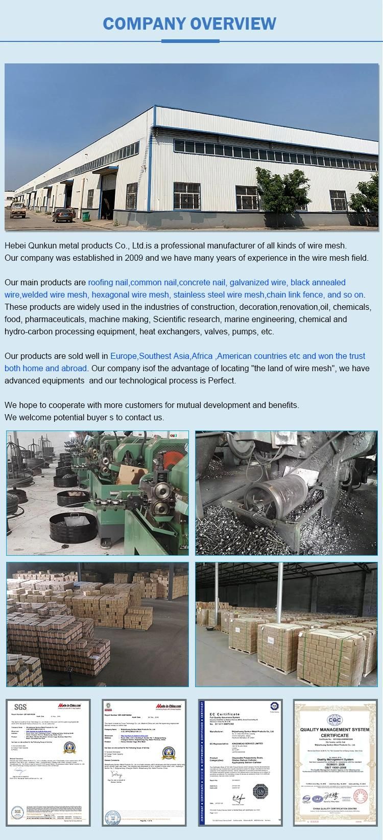 Zinc Plating / Polishing Umbrella Roofing Nails with Washer