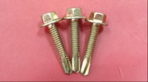 Hexagonal Head Screws