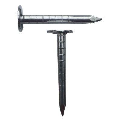 Best Price Galvanized Roofing Felt Clout Nail From Factory