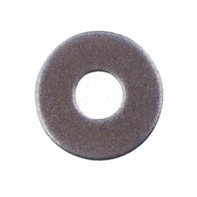 Stainless Steel Washer Flat Washer