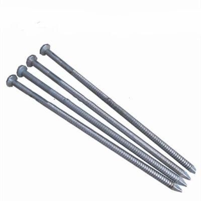 High Quality Ring Shank Common Nails Sharp Point From Tianjin Hongli Factory