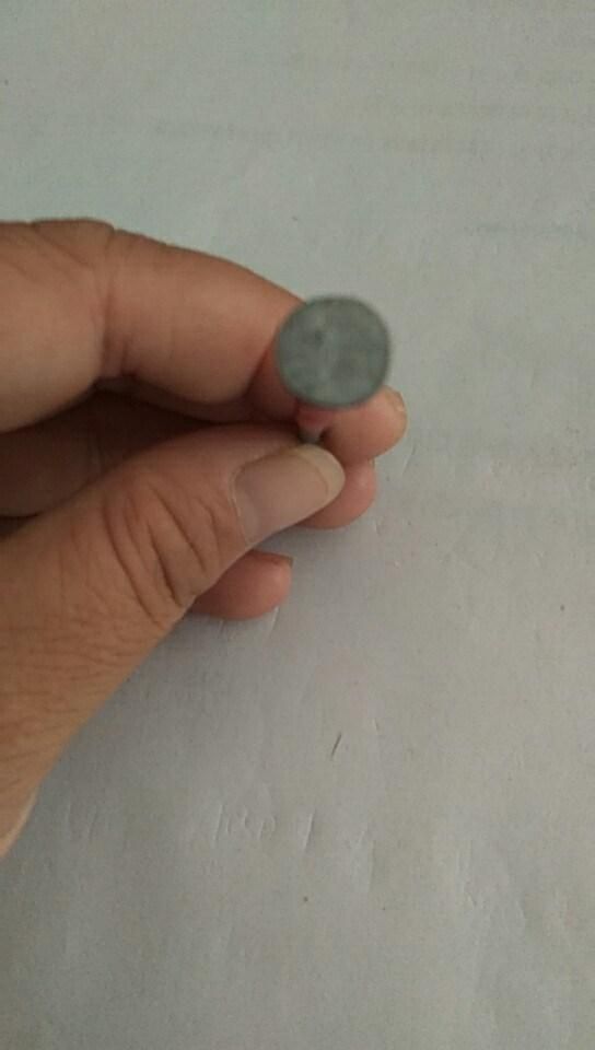 Hot-Dipped Galvanized Clout Nails with Factory Price