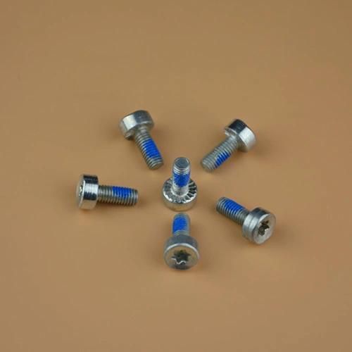 Terminal Screw Sealing Bolts Blade Shoulder Screws